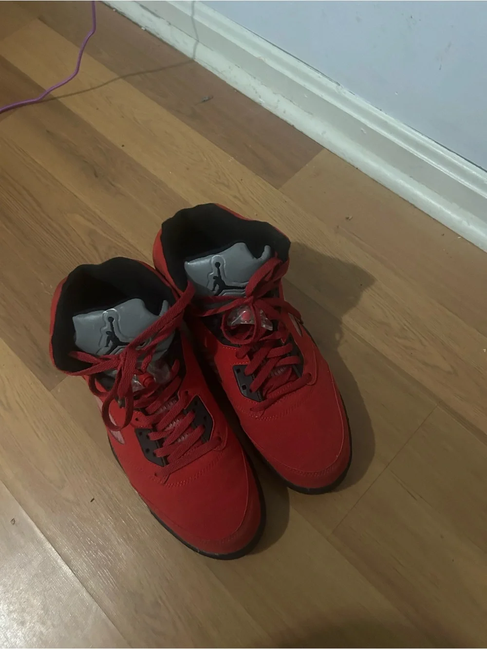 Jordan Men's Raging bull 5s